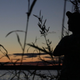 Illustration for article titled Shooting Challenge Silhouettes Gallery 2